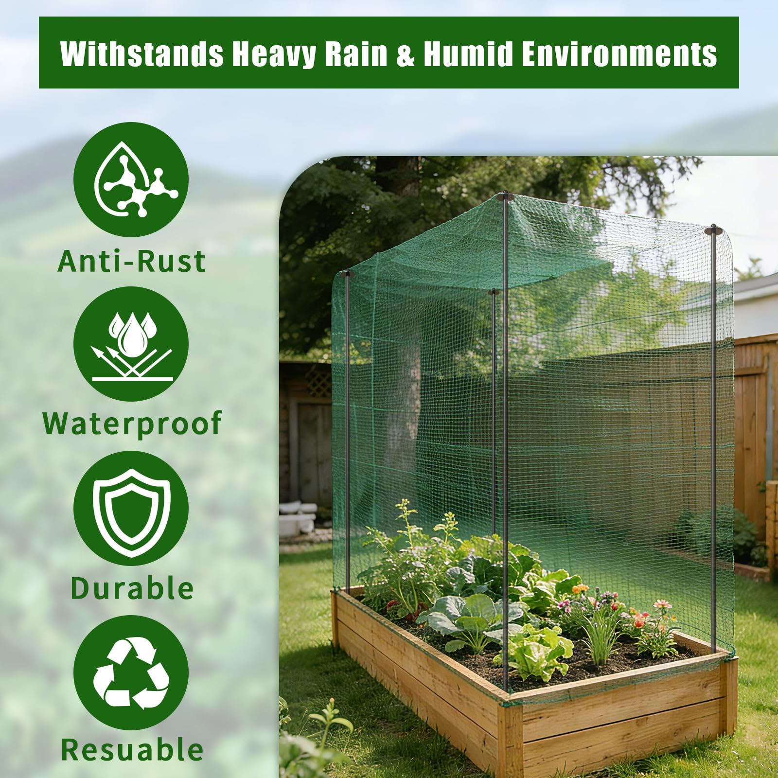 DOLEMODUO stakes driven into soil supporting climbing plants for tidy beds
