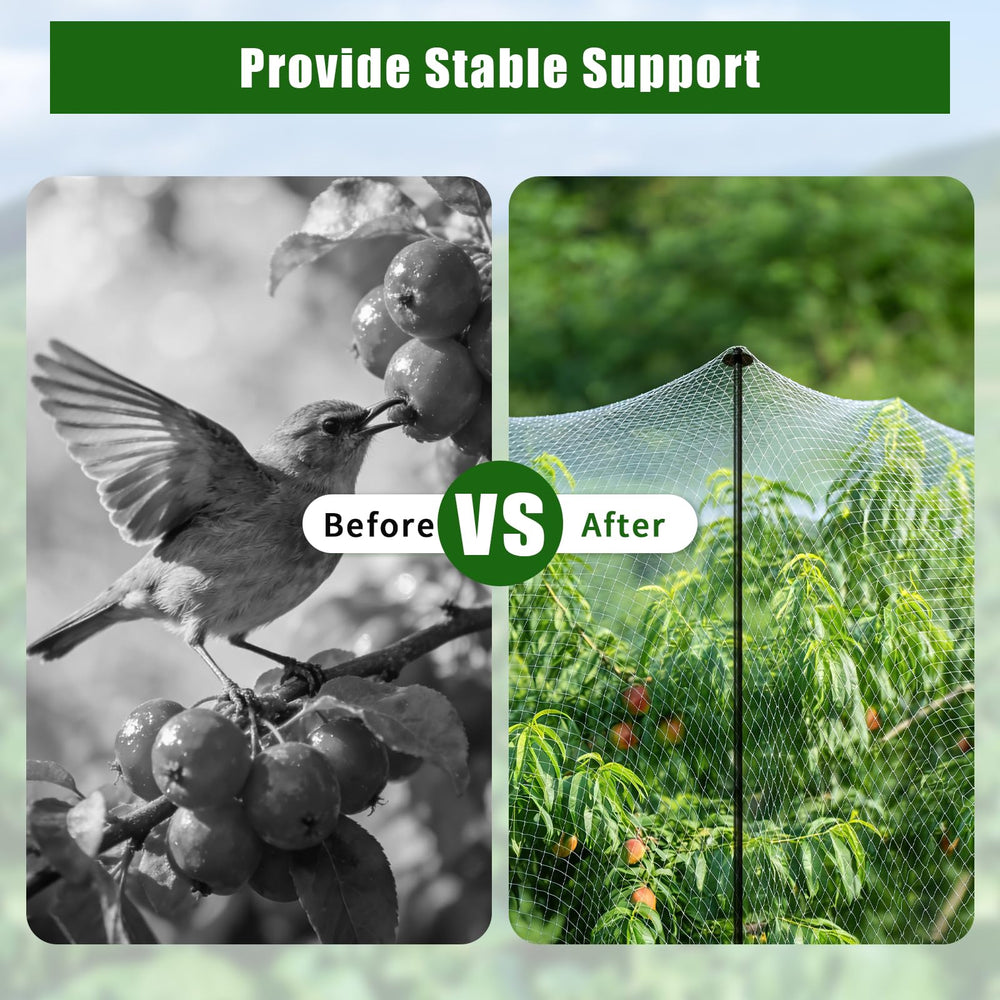 DOLEMODUO stakes holding bird netting to protect crops and prevent damage