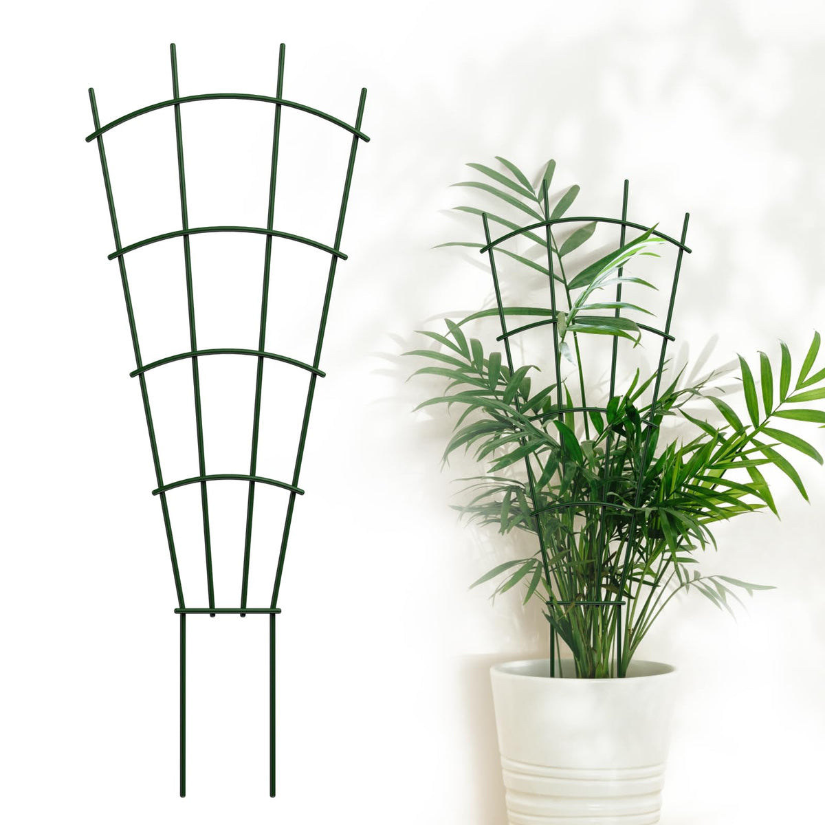 DOLEMODUO front view of trellis showing slim green profile and benefit of neat support