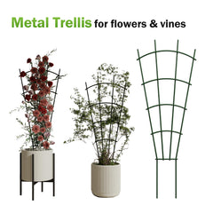 DOLEMODUO trellis next to ruler showing 32-inch height for correct scale