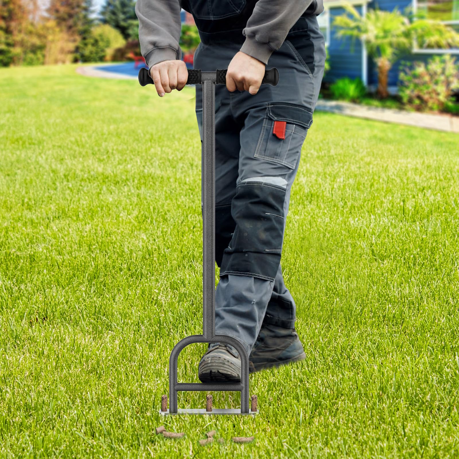 Dolibest soil core plugs on lawn illustrating improved water and nutrient penetration