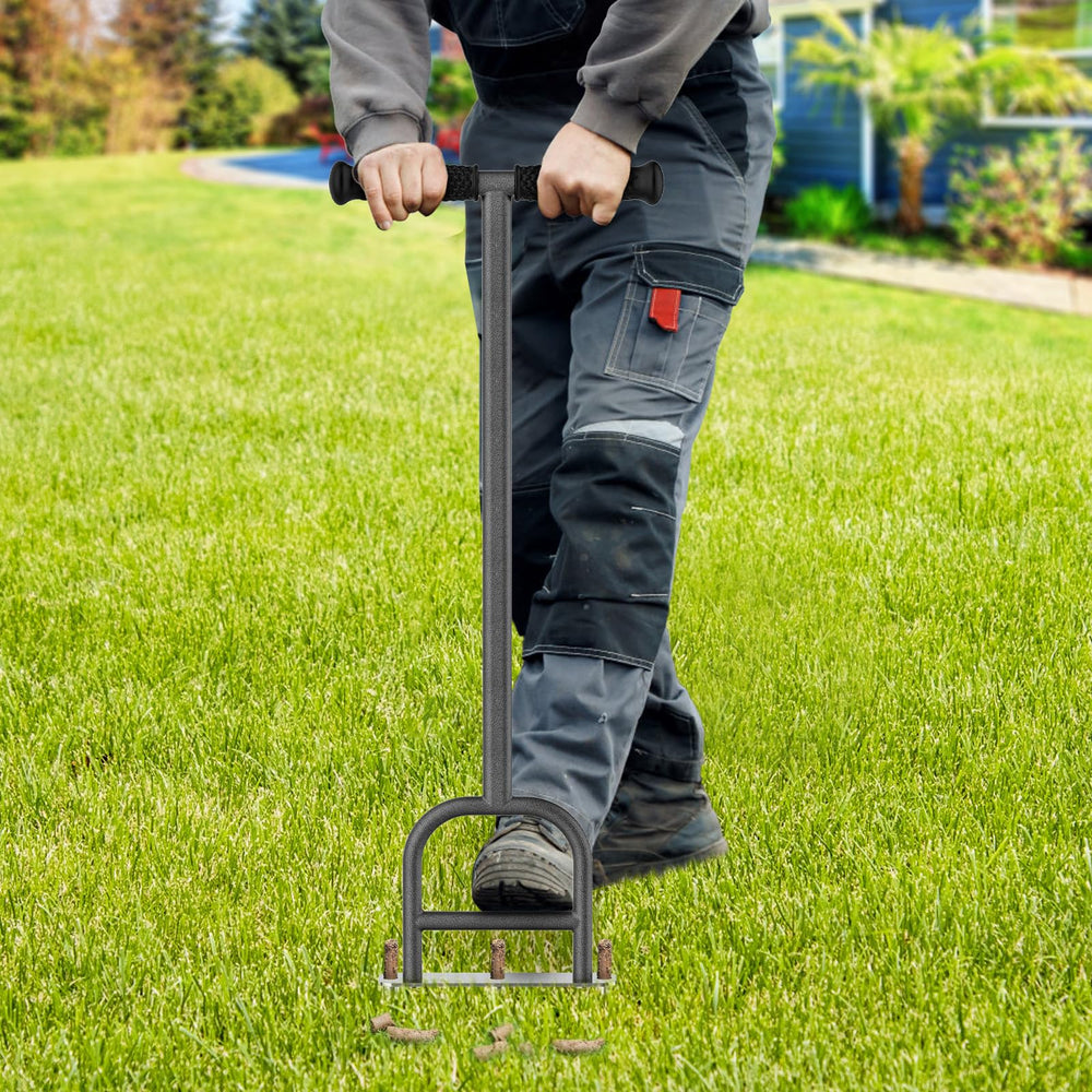 Dolibest soil core plugs on lawn illustrating improved water and nutrient penetration