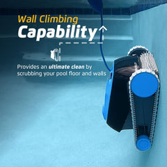 Dolphin Nautilus CC scrubber brush detail removing dirt while protecting pool surface