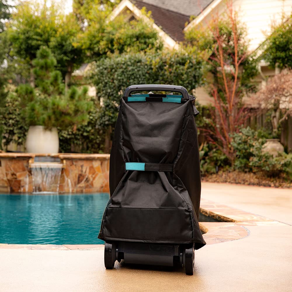 Dolphin scale comparison with person highlighting compact storage and portability