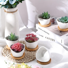 Domensi pot seated on bamboo saucer keeping surfaces clean