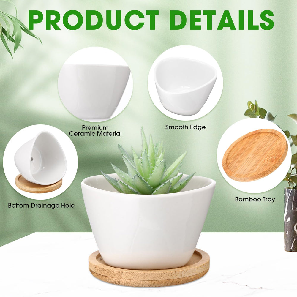 Domensi pot bottom with drainage hole for healthier root systems
