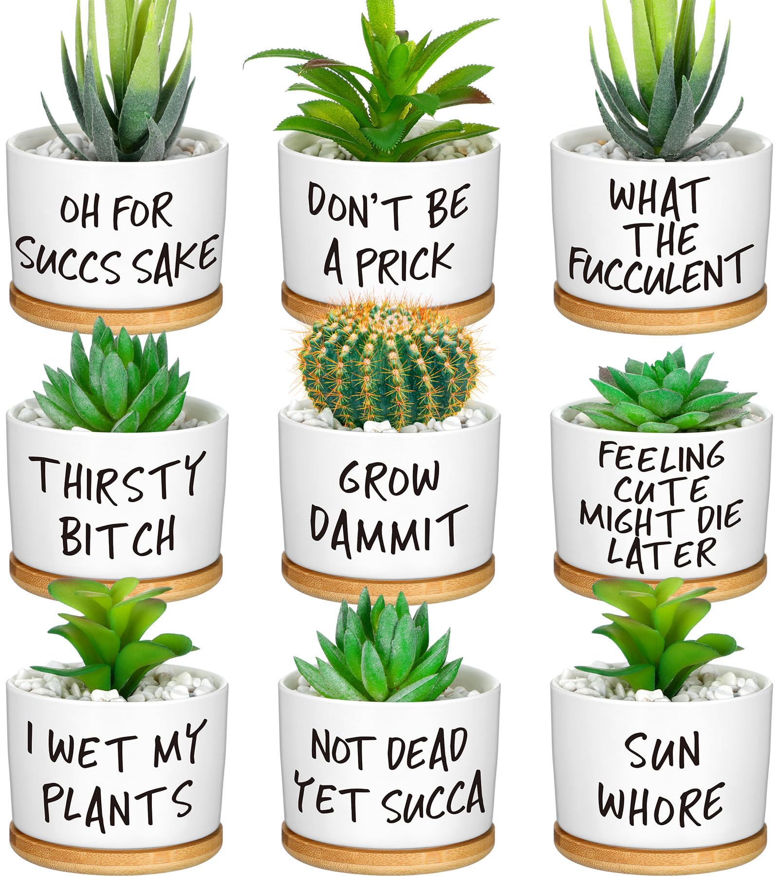 Domensi front view of nine ceramic planters with humorous designs and bamboo trays for decor