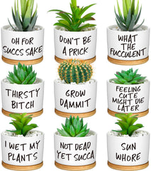 Domensi front view of nine ceramic planters with humorous designs and bamboo trays for decor