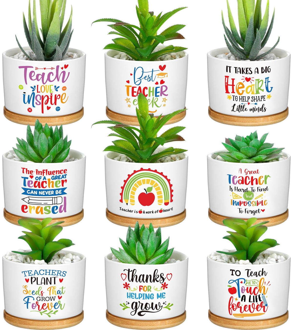 Domensi front packaging showing nine ceramic succulent pots and bamboo trays, ready to gift
