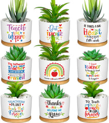 Domensi front packaging showing nine ceramic succulent pots and bamboo trays, ready to gift