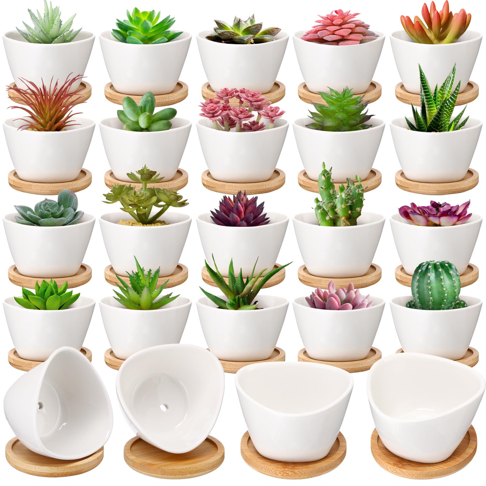 Domensi 24-pack white mini pots showing tidy bulk and elegant look