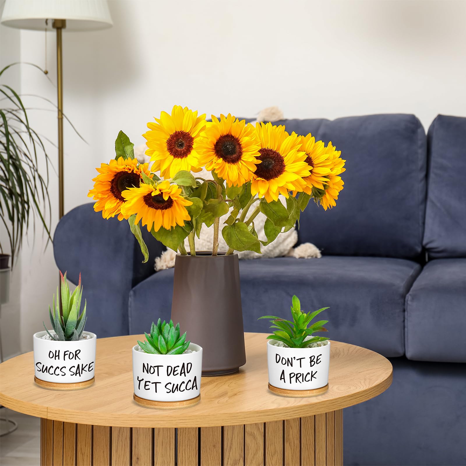 Domensi boxed gift presentation of nine planters and trays, ready for gifting and display