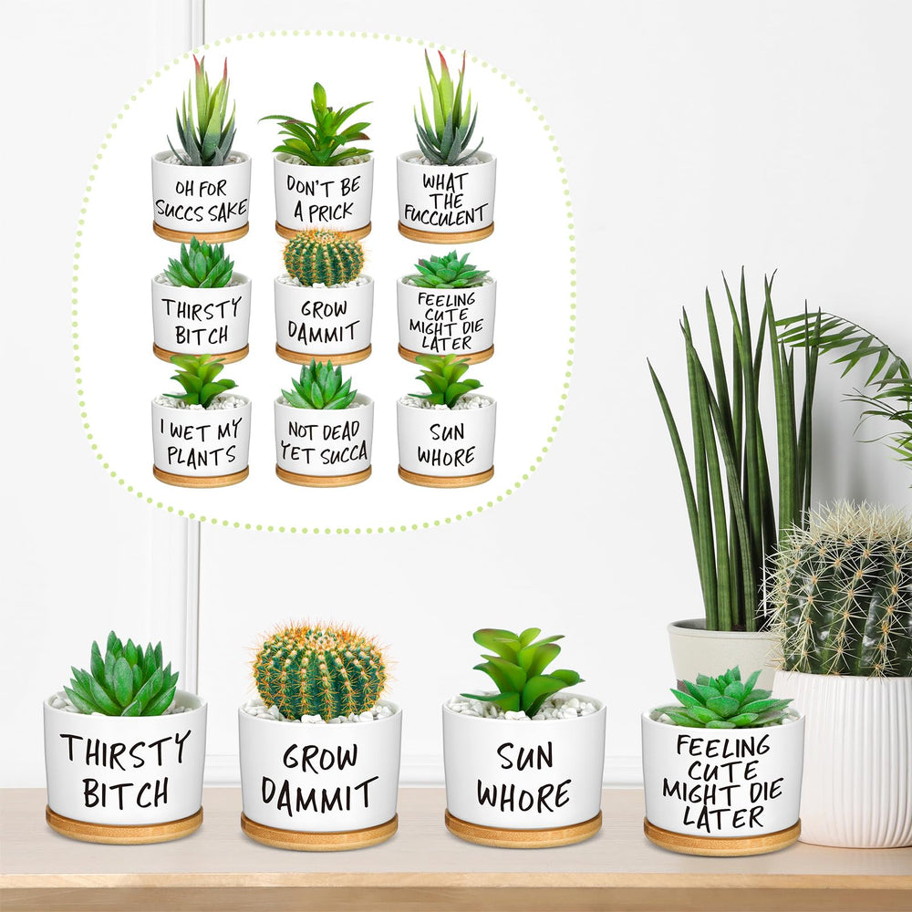 Domensi set displayed on a bright windowsill illustrating how they brighten small spaces