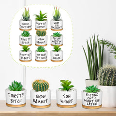 Domensi set displayed on a bright windowsill illustrating how they brighten small spaces