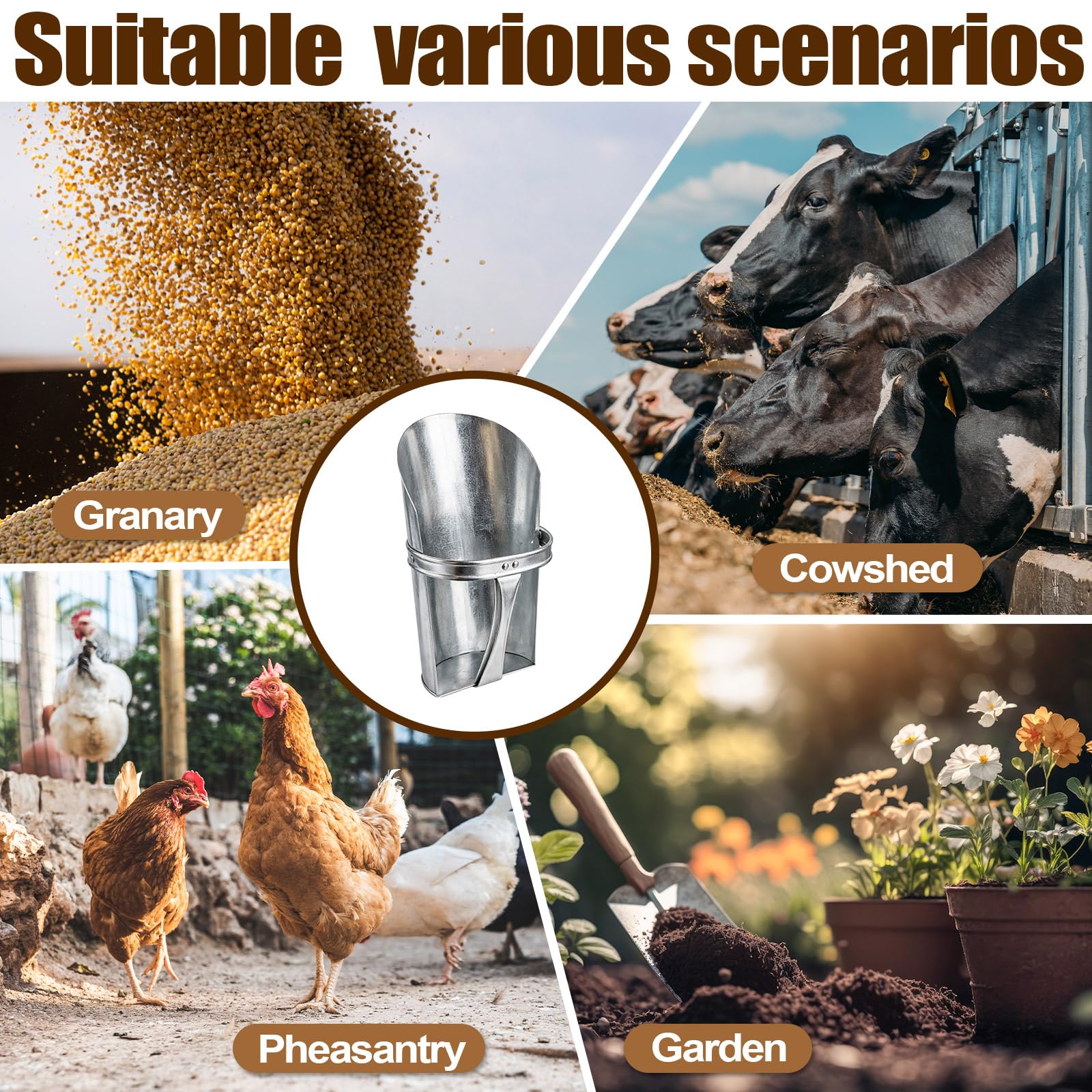 Domensi lifestyle shot using scoop for kitchen dry goods and pet food