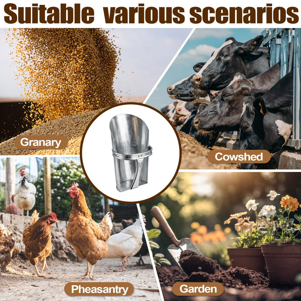 Domensi lifestyle shot using scoop for kitchen dry goods and pet food