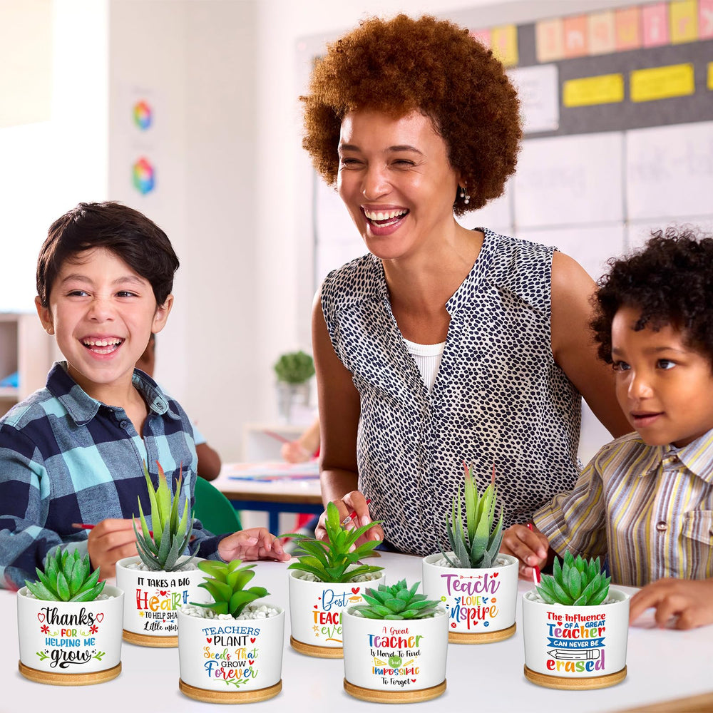 Domensi set displayed on a classroom windowsill, enhancing decor and showing group gifting