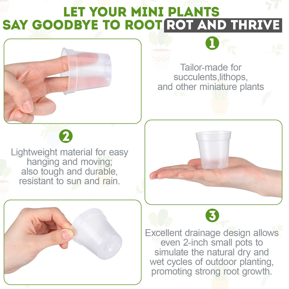 Domensi clear wall showing root development for easy monitoring and transplant timing