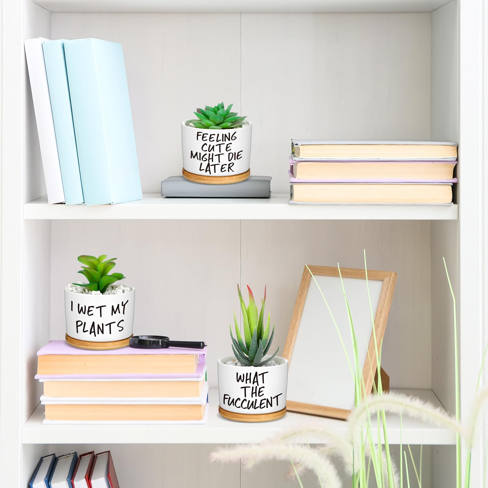 Domensi pot held in hand to show scale and compact size useful for desks and shelves