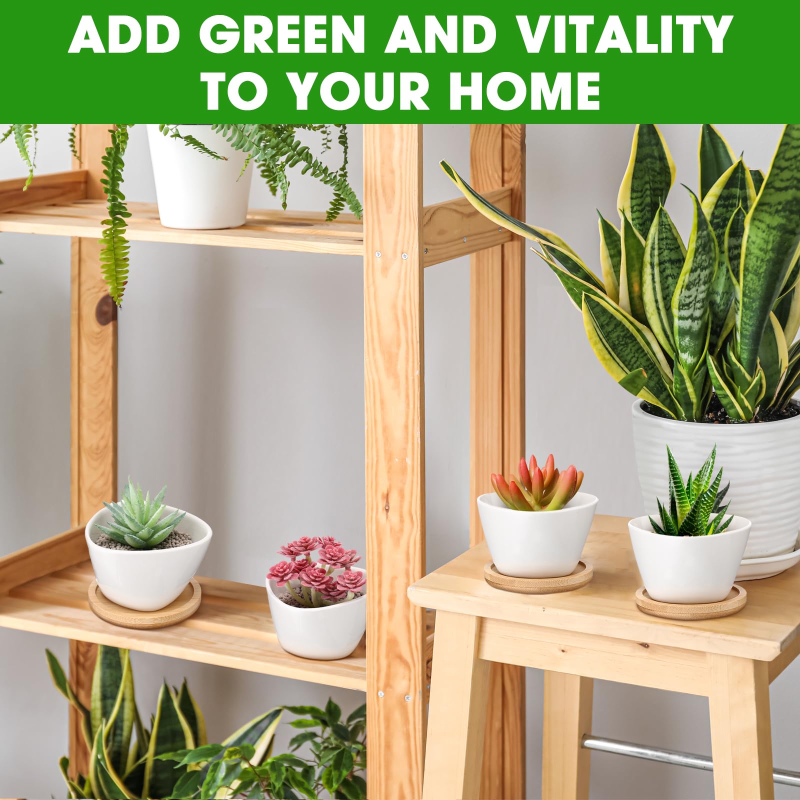 Domensi styled on shelf with succulents adding fresh decor appeal