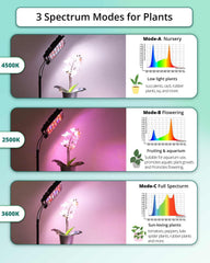 DOMMIA lamp head close-up highlighting LED array for powerful plant light