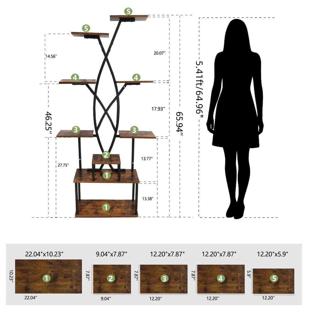 DongRong plants on shelves scale comparison demonstrates capacity and organization benefit