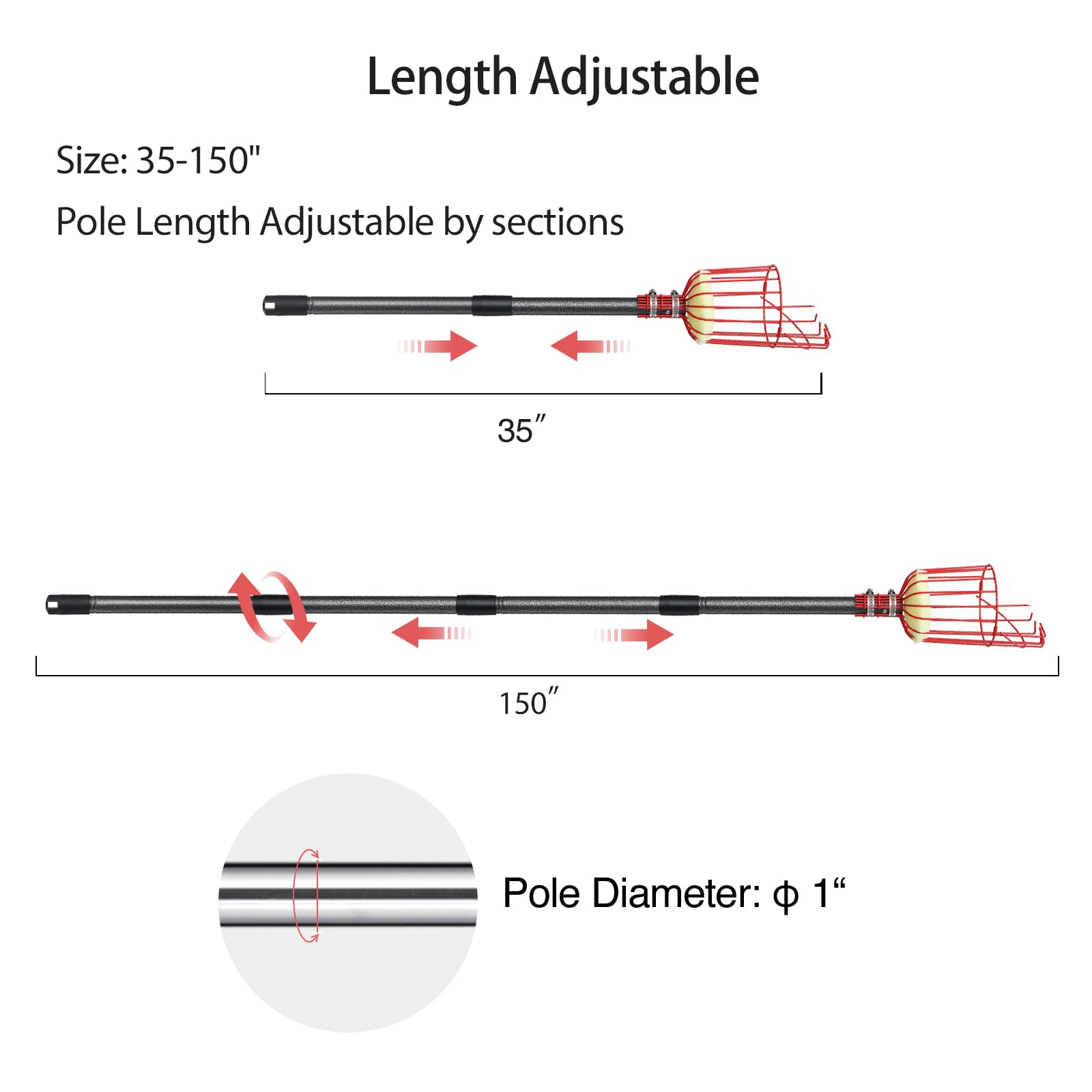 DonSail fully extended pole in use reaching high branch safely