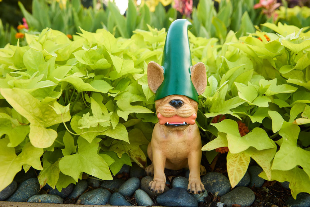 Doodle Gnome back label and base showing maker details and stable construction benefits