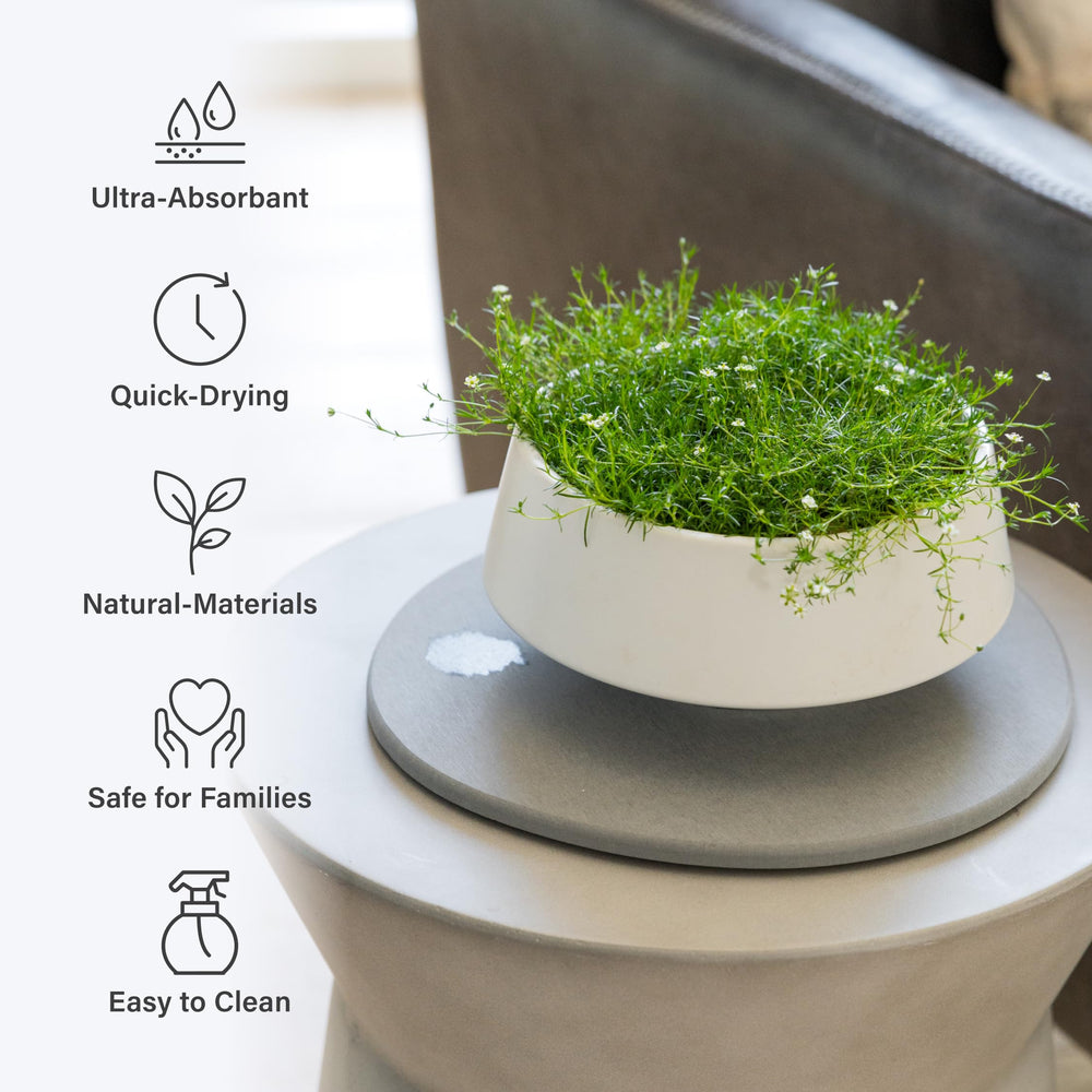 Dorai saucer under potted plant on shelf keeping surface dry