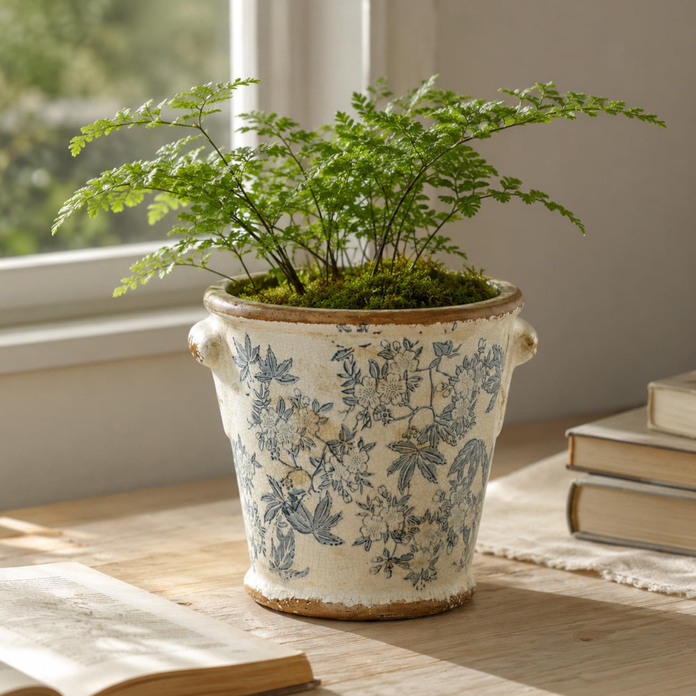 Dosayes on balcony scene showing outdoor suitability and cozy garden feel
