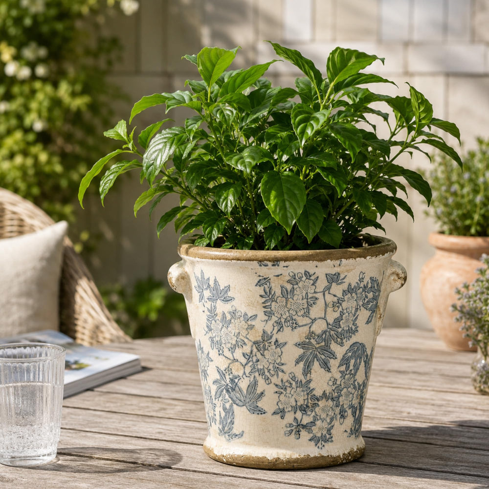 Dosayes on coffee table decor showing aesthetic accent and room enhancement