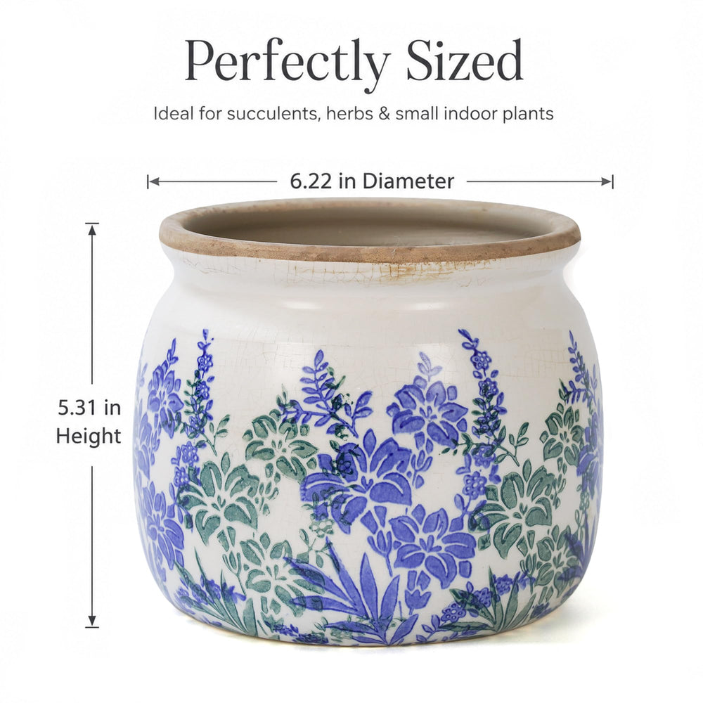 Dosayes group display on shelf benefit: coordinates with other décor