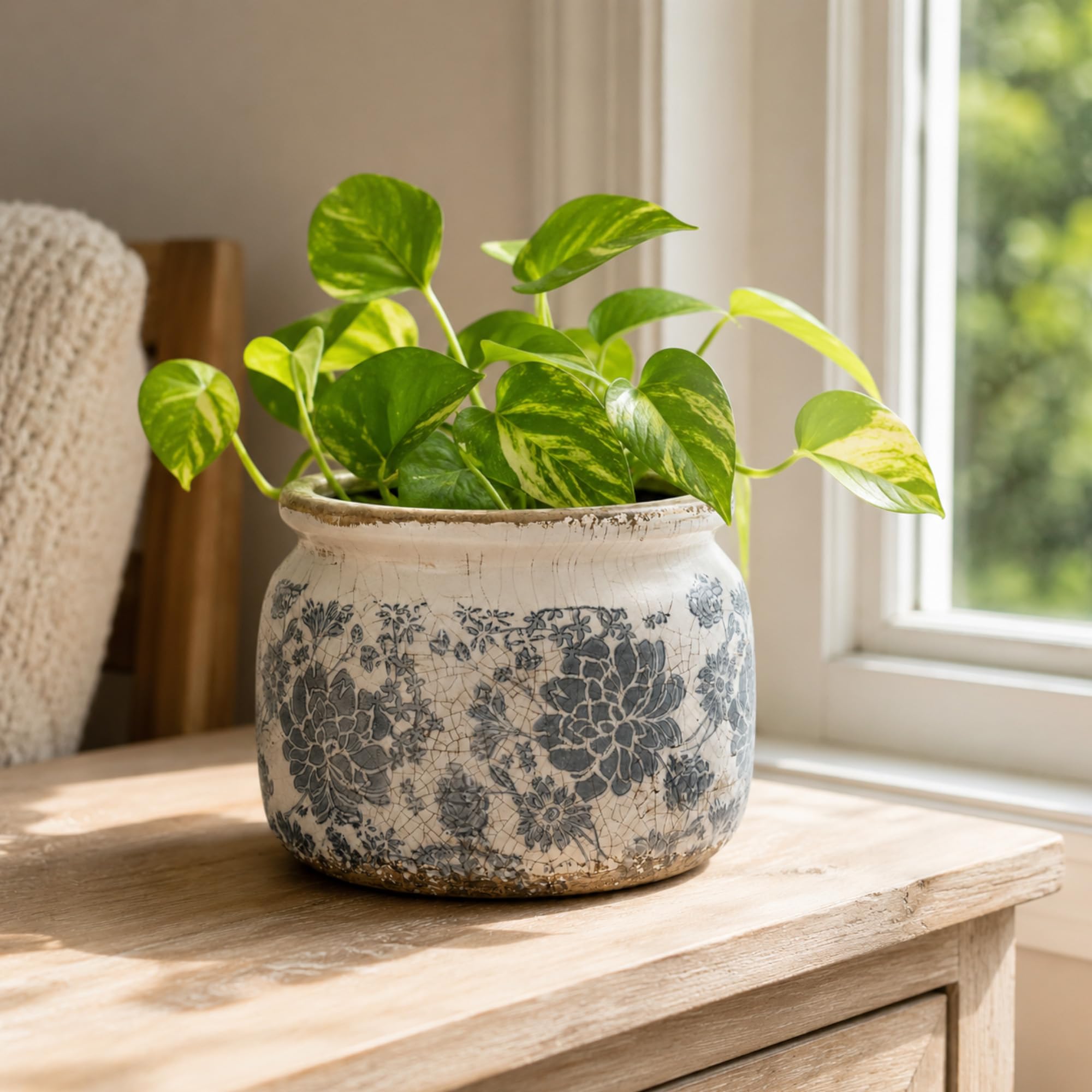 Dosayes with protective pad under pot preventing surface stains and scratches