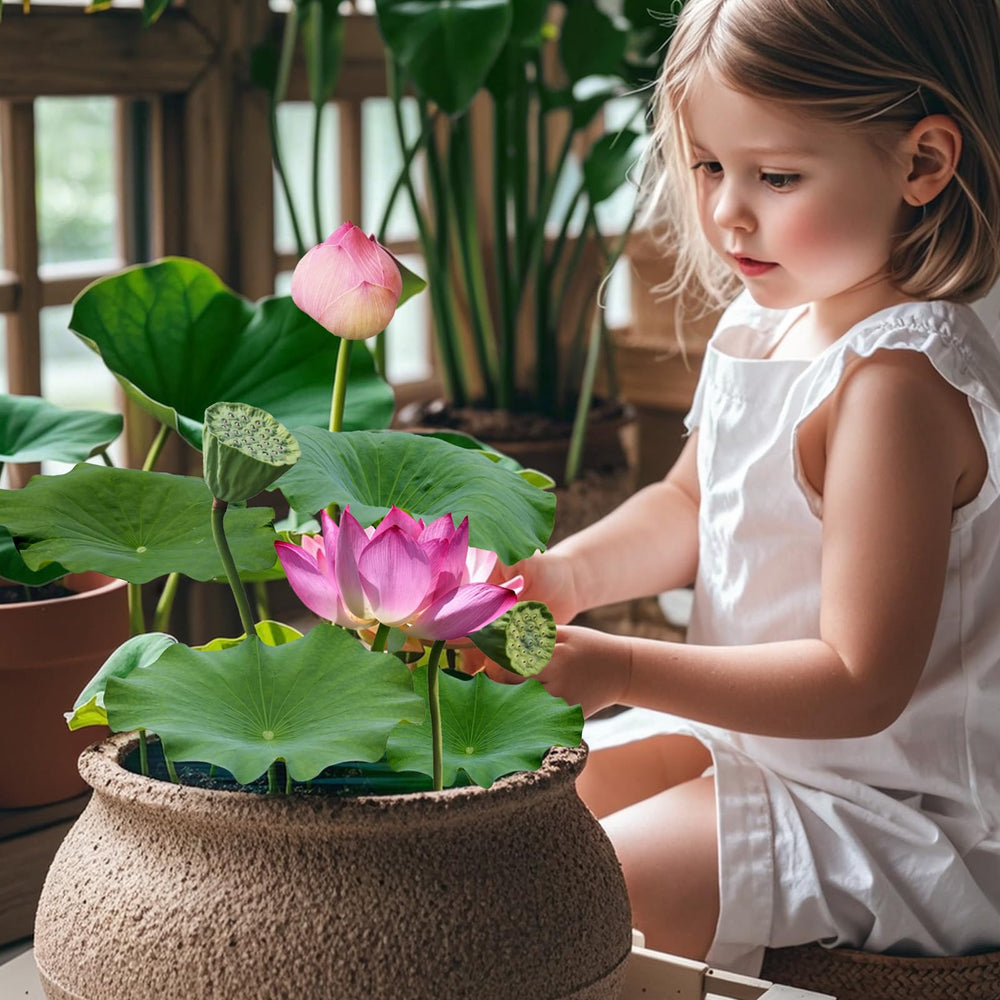 Doter label close-up highlighting nutrients and eco-friendly features — assures safe composition benefit