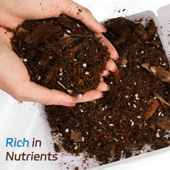 Doter perlite and pine bark detail showing superior drainage and aeration benefits