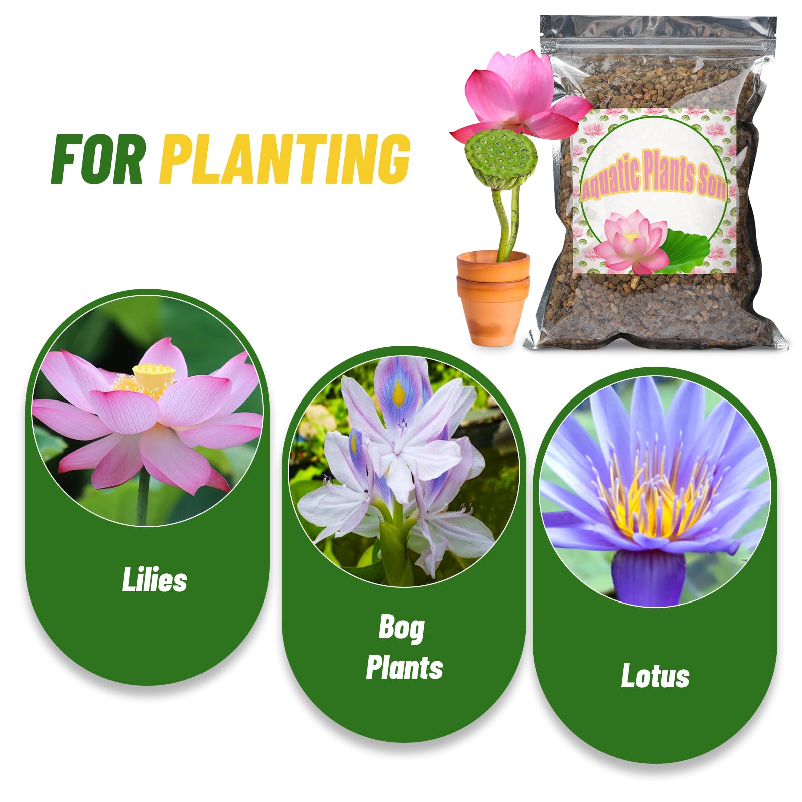 Doter planted aquarium in use with healthy water plants — demonstrates anchoring benefit