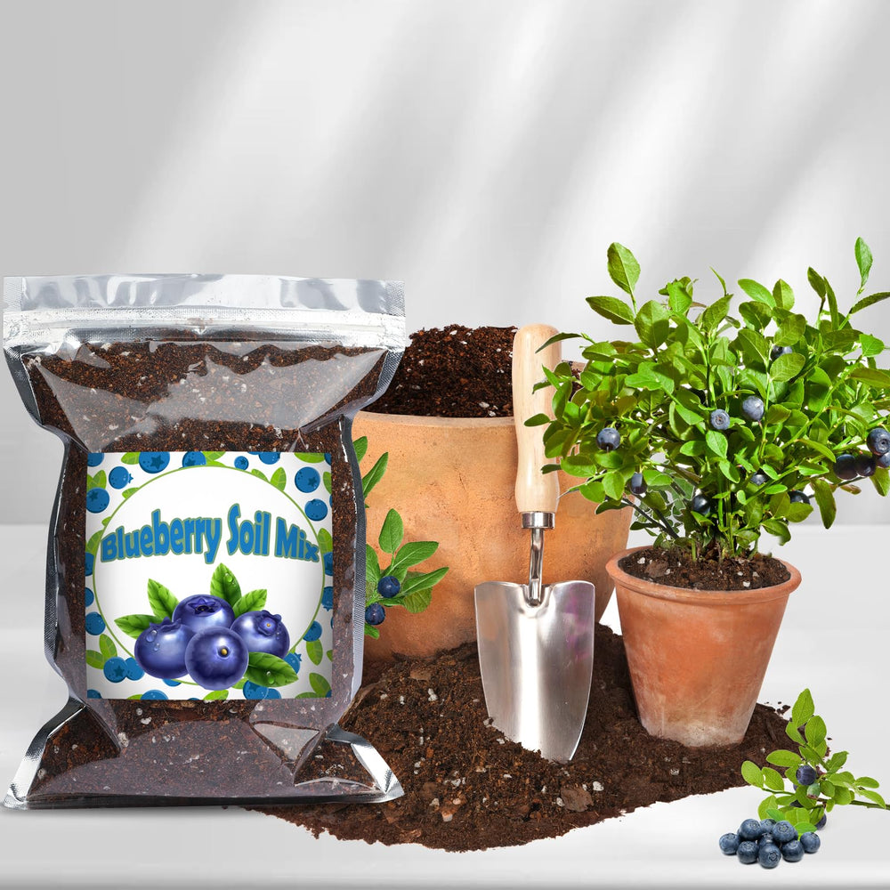 Doter potting mix in a potted blueberry demonstrating healthier container growth