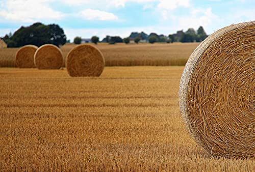 Double F Farms straw in backyard garden scene illustrating versatile outdoor uses and benefits