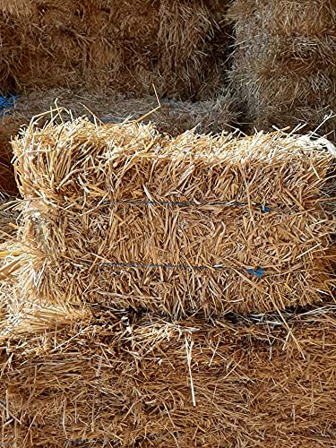 Double F Farms straw mixed into compost pile adding carbon and improving aeration