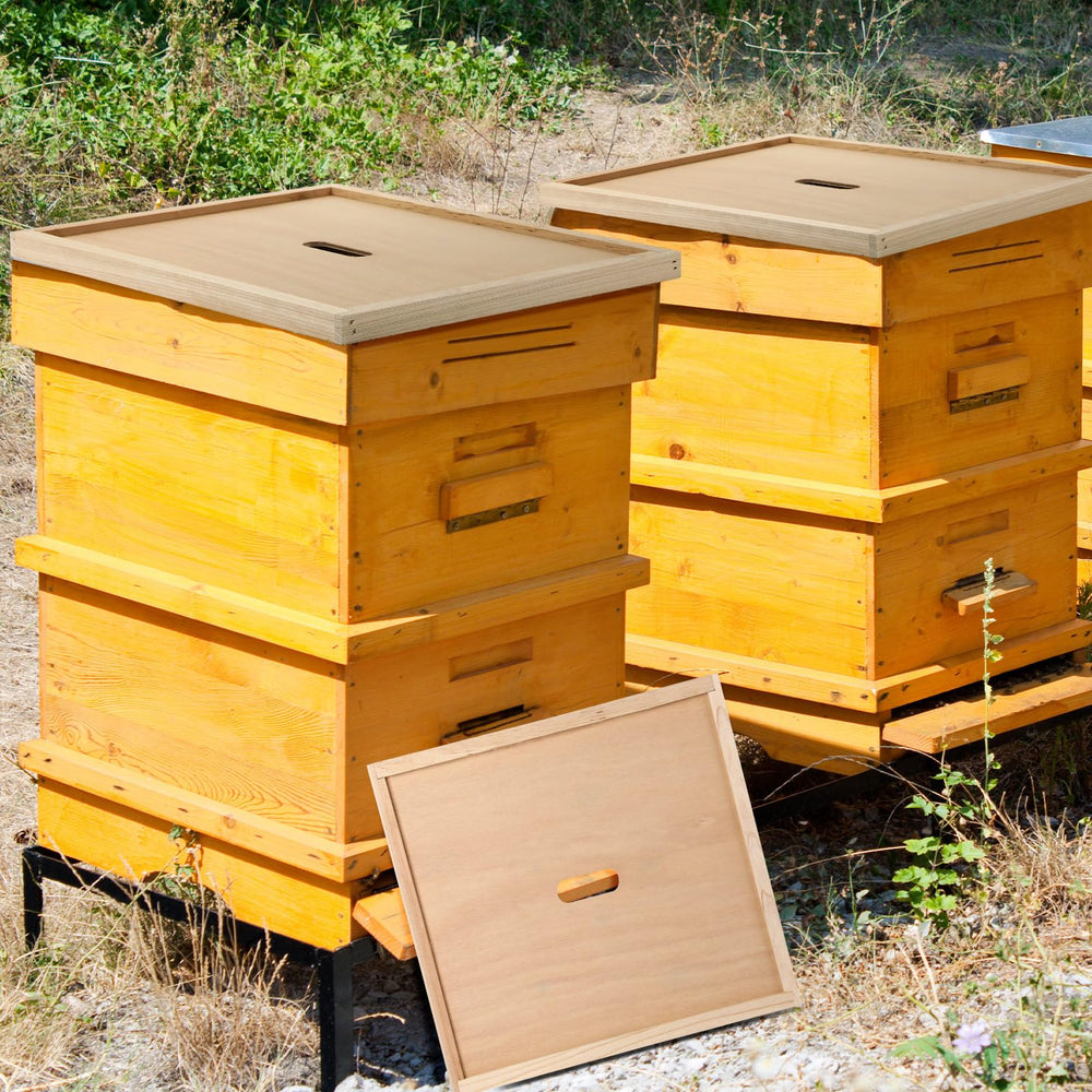 DoubleFill inner cover in an apiary setting conveying practical use and reliability