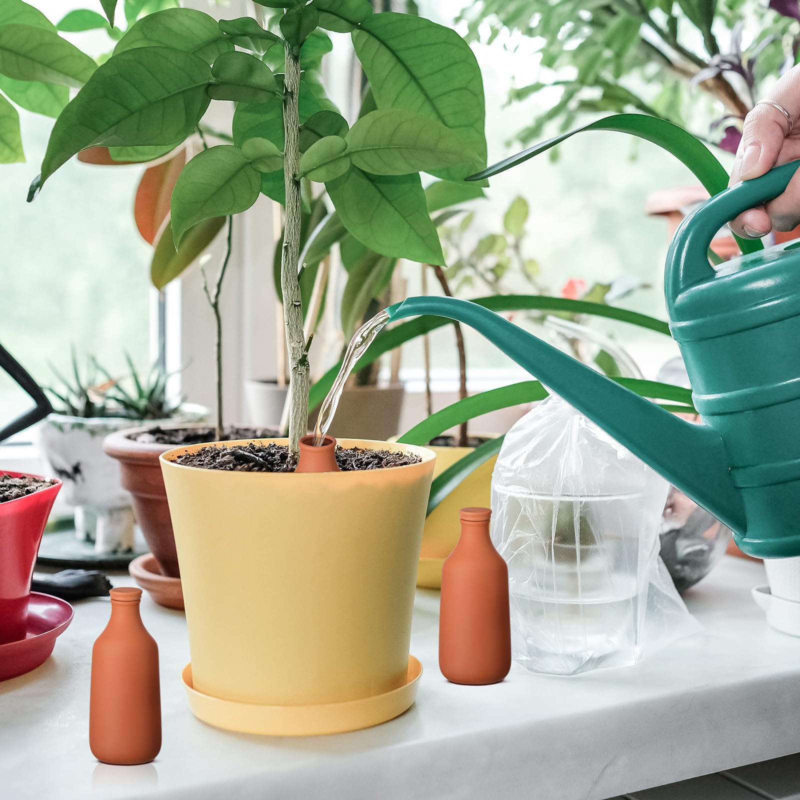 DoubleFill globes in balcony planters showing convenience and time-saving benefit