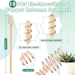 DoubleFill copper coil close-up demonstrating precise winding and conductivity benefit