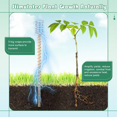 DoubleFill stake inserted in a pot providing stable support for container plants