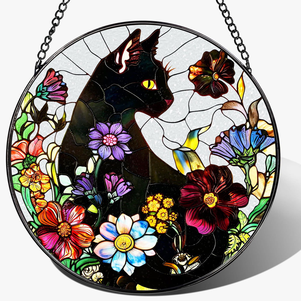 DOUHASU black cat front view showing playful silhouette and colorful sunlight effect