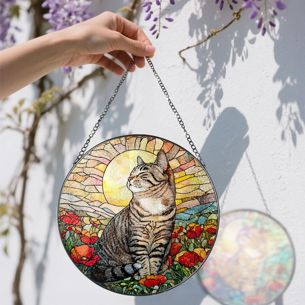 DOUHASU suncatcher hanging in sunlit window adding vibrant decor