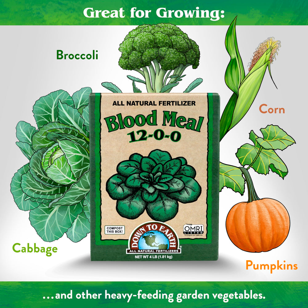 Down To Earth spreader applying fertilizer for fast green foliage