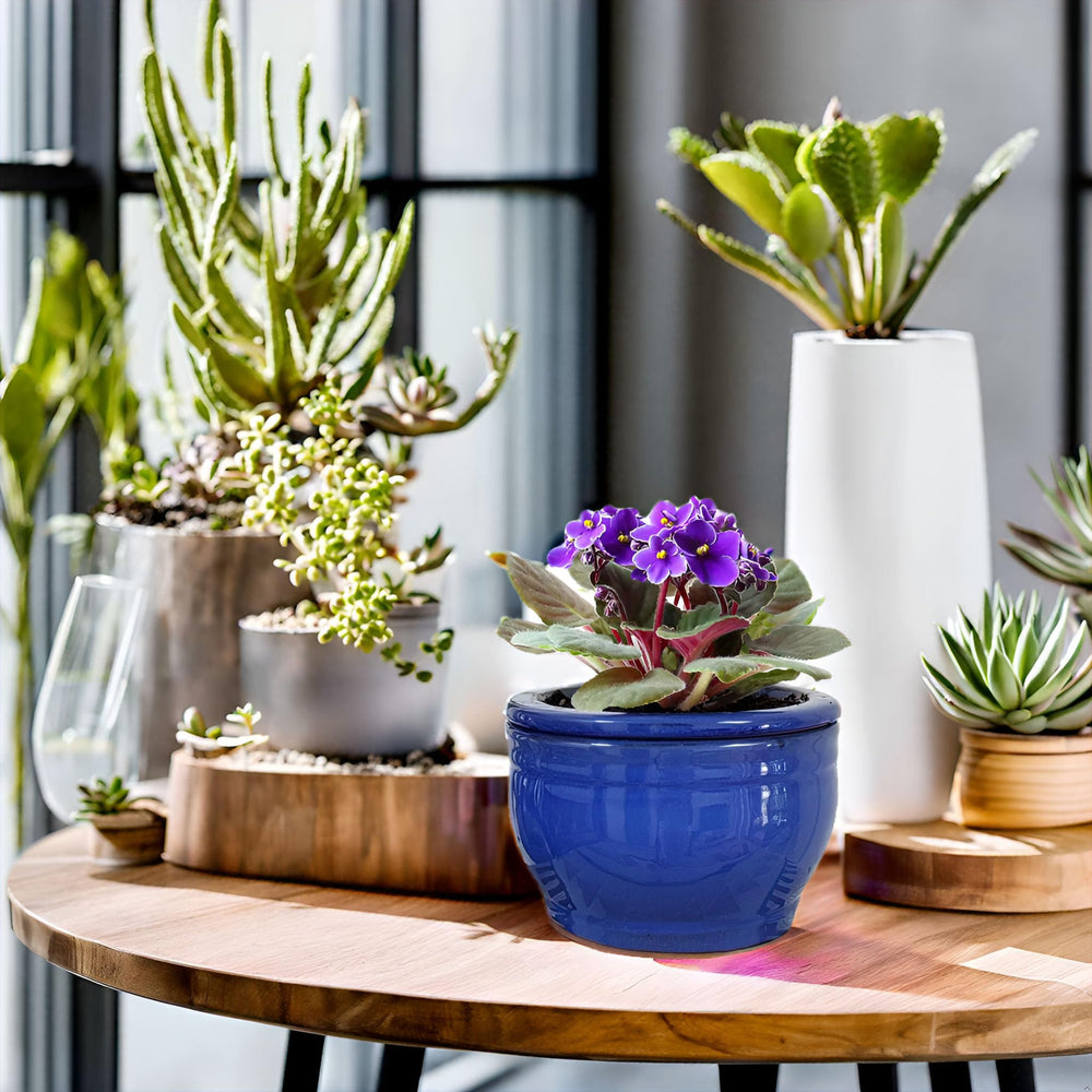 Dphagesy blue planter on windowsill in home setting for decorative enhancement