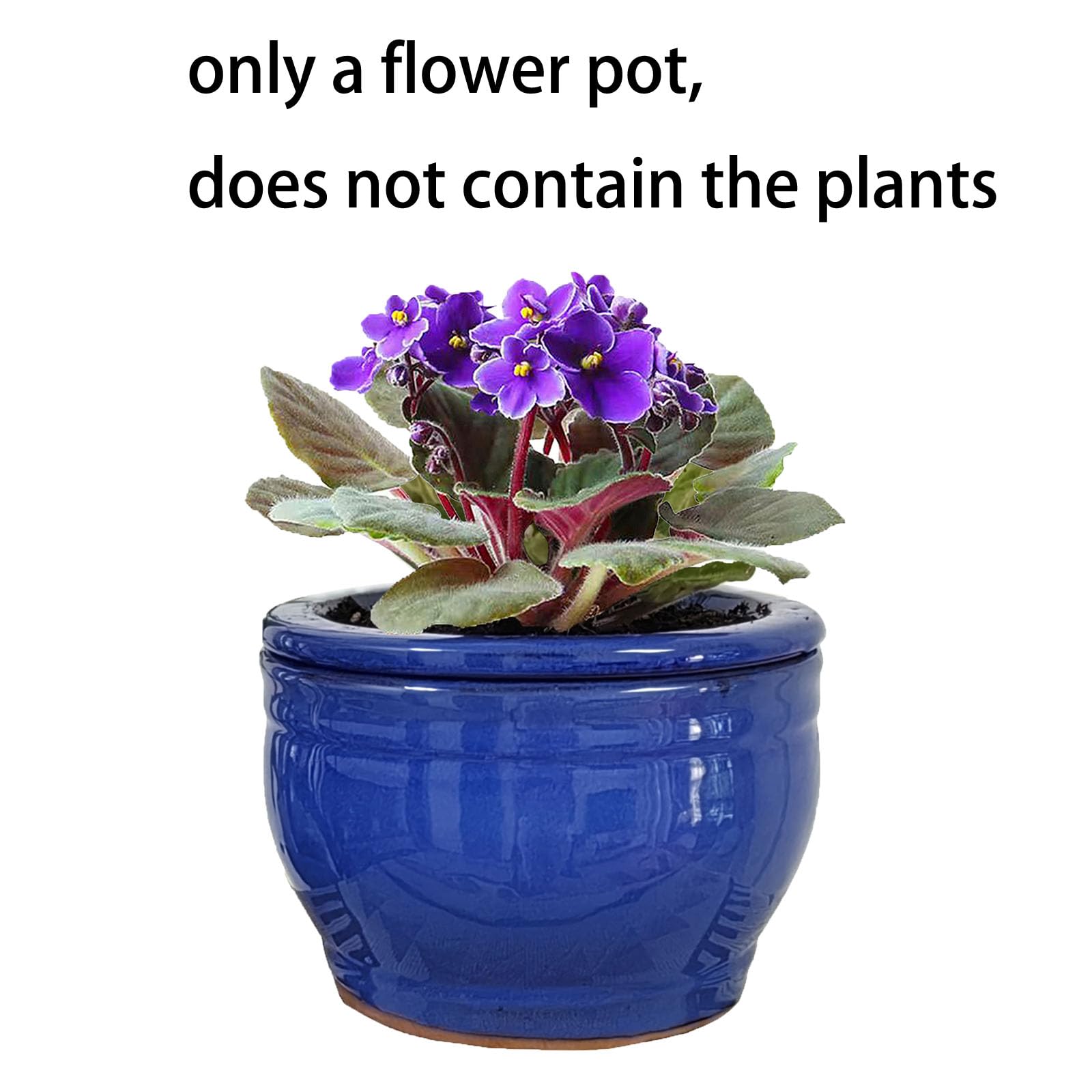 Dphagesy side profile showing pot height and stable base for furniture safety