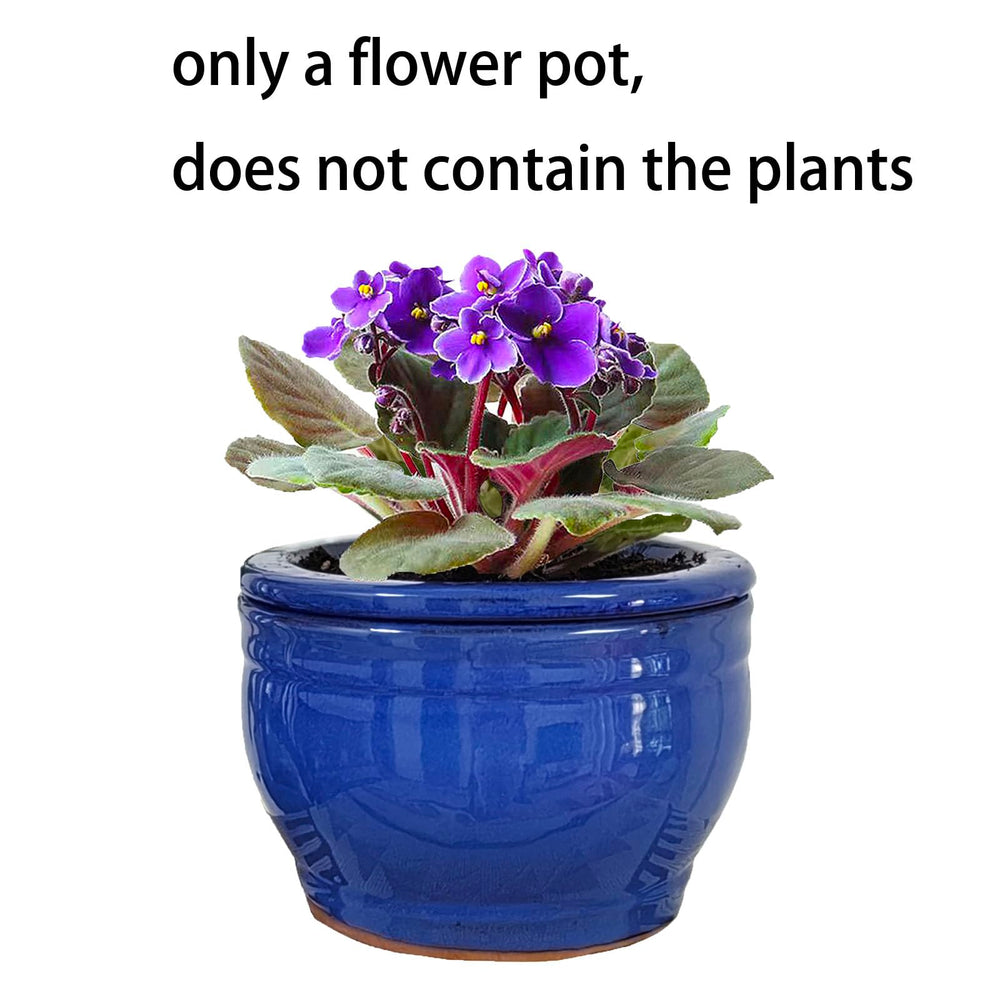 Dphagesy side profile showing pot height and stable base for furniture safety