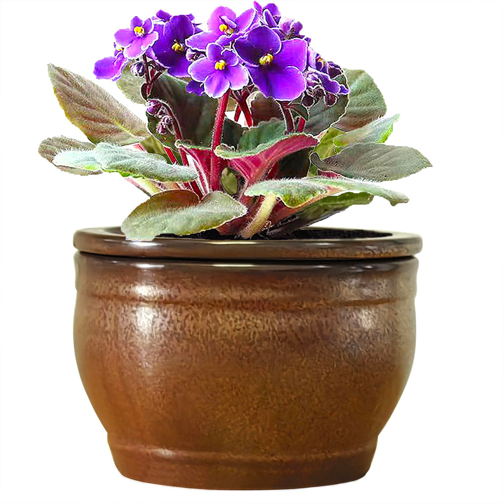 Dphagesy copper front view showing stylish self-watering benefit